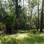 Otford Farm - Jungle Set Build Site
