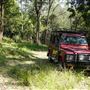 Otford Farm - Jungle Set Build Site