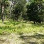 Otford Farm - Jungle Set Build Site