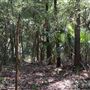 Otford Farm - Jungle Set Build Site