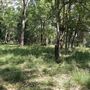 Otford Farm - Jungle Set Build Site
