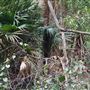 Otford Farm - Jungle Set Build Site