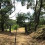Otford Farm - The Pines Paddock with Jungle Gully