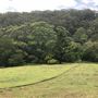 Otford Farm - The Pines Paddock with Jungle Gully