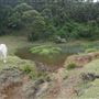Otford Farm - 40 Acres Paddock
