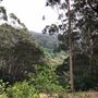 Otford Farm - 40 Acres Paddock