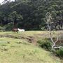 Otford Farm - 40 Acres Paddock