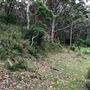 Otford Farm - 40 Acres Paddock