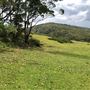 Otford Farm - 40 Acres Paddock