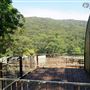Otford Farm - Horse Farm