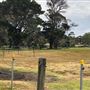Otford Farm - Crazy T Farm