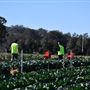 Greater Sydney Local Land Services Demonstration Farm