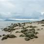 Trial Bay Gaol Campground & Front Beach - Arakoon National Park
