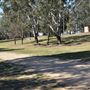 Set Build Sites - Sydney International Regatta Centre