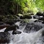 Hidden Creek