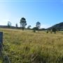 Hunter Valley Farm