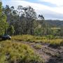 Hunter Valley Farm