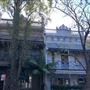 Jersey Road - Woollahra