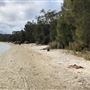 Swan Lake - Swanhaven