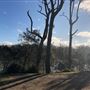 Berrara Creek - Conjola National Park