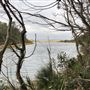 Swan Lake Inlet - Cudmirrah Beach
