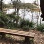 Swan Lake Inlet - Cudmirrah Beach