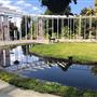 Royal Botanic Garden Sydney