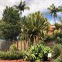 Royal Botanic Garden Sydney