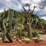 Royal Botanic Garden Sydney