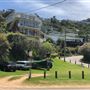 Whale Beach