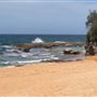 Whale Beach