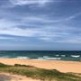 Whale Beach