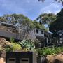 Whale Beach