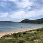 Palm Beach
