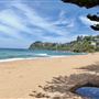 Palm Beach