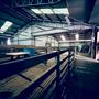 Tobruk Sheep Station - Shearing Shed & Event Venue