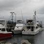 Bermagui