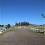 Darkes Forest Ranch