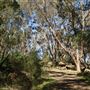 Darkes Forest Ranch