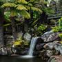 Blue Mountains Mount Tomah Botanic Gardens