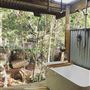 The Rainforest Shed