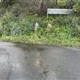 Gap Bluff Watsons Bay NPWS park gate entrance