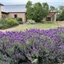 Cooma Cottage
