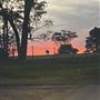 Darkes Forest Ranch