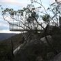 Bungonia National Park