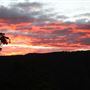 Bungonia National Park