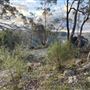 Bungonia National Park