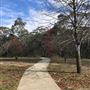 Wentworth Falls Lake