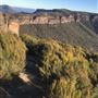 Cahills Lookout & Boars Head Lookout