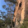 Centennial Glen Walking Track